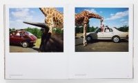 Global warning : Martin Parr
