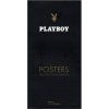 Playboy : posters, la collection complète